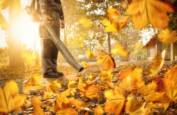 Cost of Leaf Blowing Service in San Luis Obispo