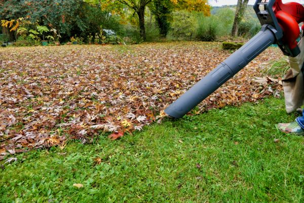 Cost of Leaf Vacuuming Service in San Luis Obispo
