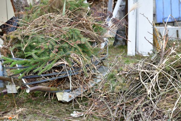 Cost of Yard Debris Removal in San Luis Obispo