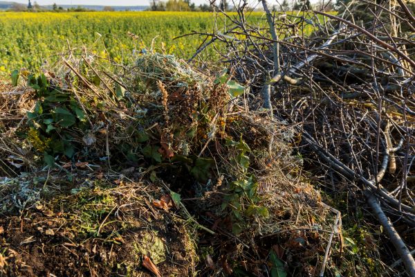 Cost of Brush Disposal in San Luis Obispo