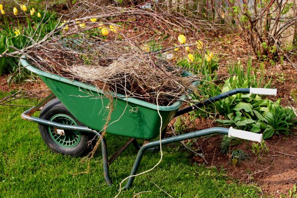 Cost of Lawn Waste Removal in San Luis Obispo