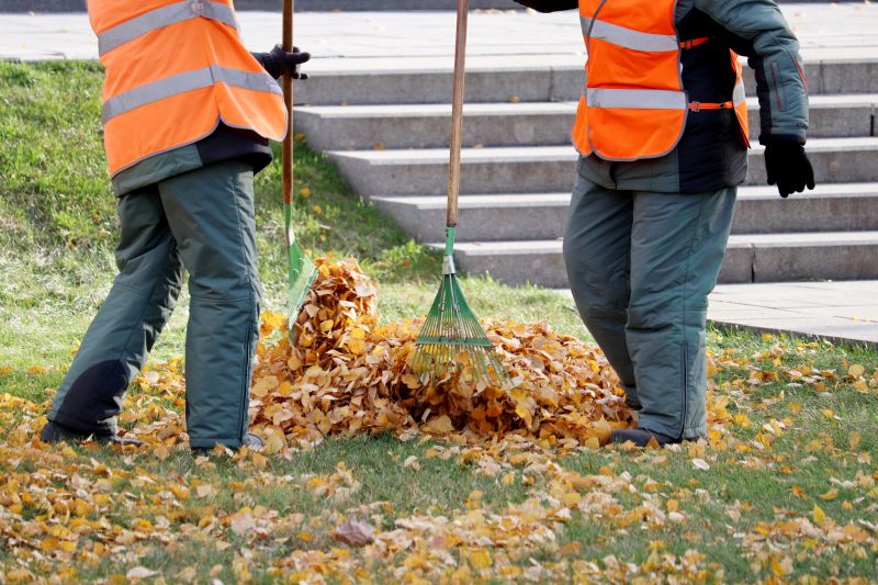 Collected Leaves Ready for Pickup