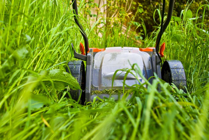 Lawn Cleanup Equipment
