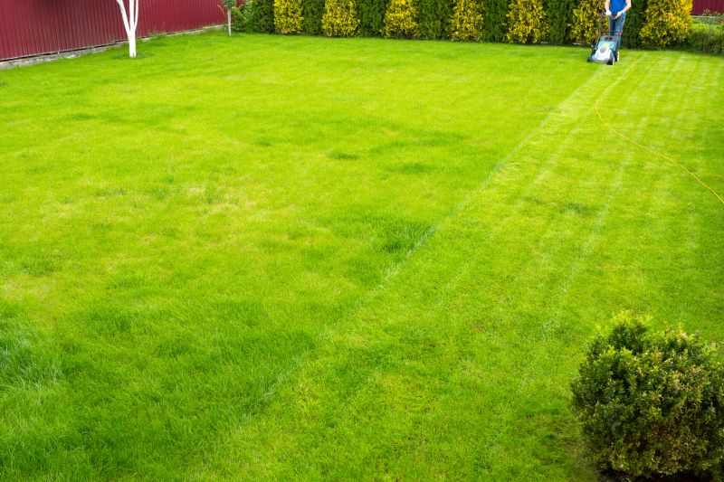 Independent Lawn Care Professionals