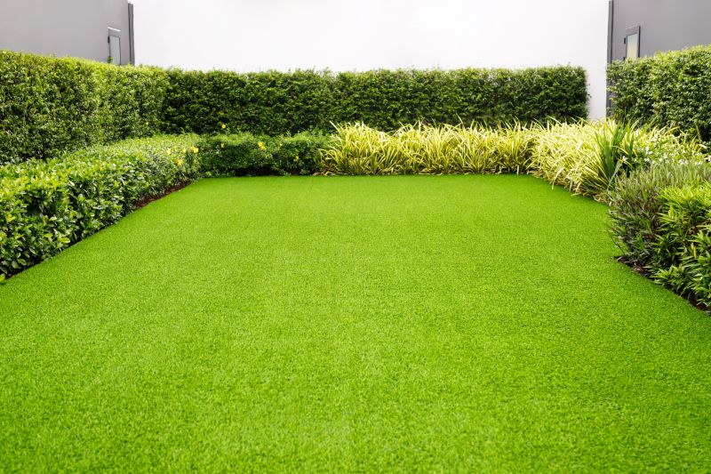 Healthy Lawn After Service